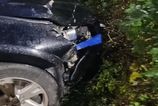 Policia obvinila vodica ktory v Brodne zrazil mladika