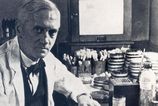 Nahodny objav ktory zmenil svet Alexander Fleming nep planoval revoluciu v medicine