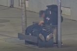 Kamera v Bratislave zachytila zlodeja pri cine Mestsk policajti tvrdia ze okradnutie spiaceho sledovali nazivo