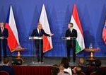 V4 je zvlastne spolocenstvo Stredna Europa nie je spojena uspechmi ale zlyhaniami komentar Borisa Zalu
