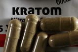 rekordny ulovok v cesku colnici v brne zadrzali 800 kilogramov nelegalneho kratomu