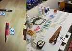 Policia rozbila skupinu ktora prevadzkovala nelegalne psie zapasy v troch krajoch