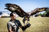 Vasu cestu na dovolenku chrania ikonicke orly Lietadlo dokaze otocit aj lastovicka video fotografie
