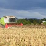 Jasno a horúco: meteorológovia predpovedajú ideálne počasie