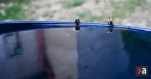 Po studenej noci príde príjemne teplý deň