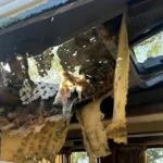 Ruský dron zasiahol ukrajinský minibus pri Nikopole, zahynulo päť civilistov
