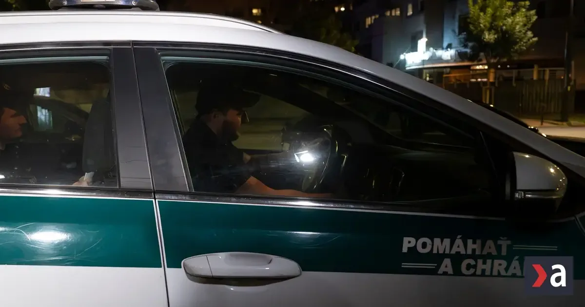 Muž našiel vo Vihorlatských vrchoch granát z druhej svetovej vojny a privolal políciu 2 Muž našiel vo Vihorlatských vrchoch granát z druhej svetovej vojny a privolal políciu