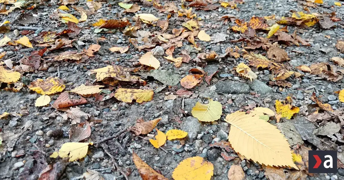Nedeľa prinesie na východ Slovenska dážď, sever si užije chladnejšie počasie
