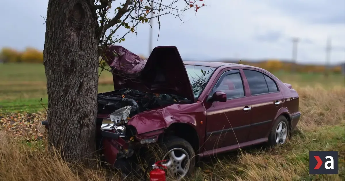 Opitý šofér s takmer 2,5 promile narazil do stromu, prišiel o vodičský preukaz 2 Opitý šofér s takmer 2,5 promile narazil do stromu, prišiel o vodičský preukaz