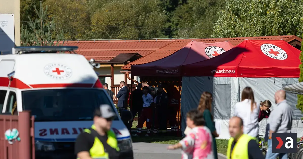 Po útoku v Staškove: Kamery v školách, o probléme sa mlčí