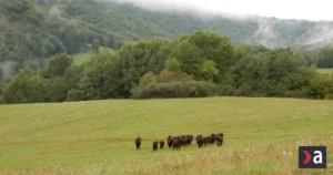 Pondelok bude na Slovensku zamračený, na severe a východe sa objavia prehánky